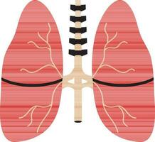 Color style of lungs icon inside body. vector