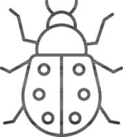 Ladybug icon or symbol in black thin line. vector