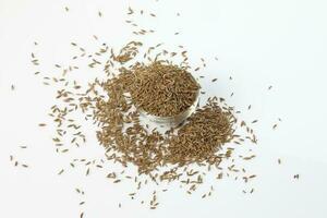 Cumin seeds dry whole powdered healthy aromatic spice jeera photo