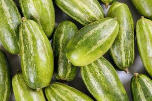 pointed gourd potol green vegetable on white background photo