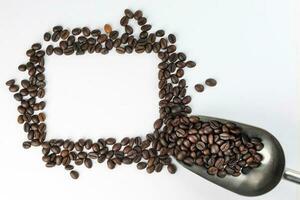 Coffee Been frame border on white background empty text space photo