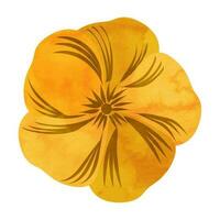 Yellow and orange flower on white background. vector