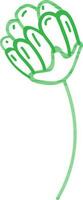 Line art illustration of green flower bud. vector