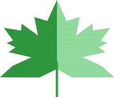 Green maple leaf in flat style. vector