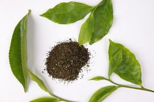 different types of fresh raw green tea leaf flower bud black brown tea powder on white background photo