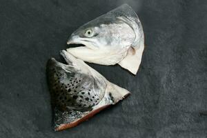 Cut Cleaned Salmon Trout Fish Head half photo