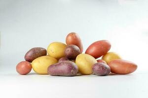 red purple yellow multi tri color small baby potato on white background photo