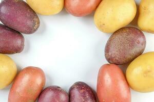 red purple yellow multi tri color small baby potato on white background frame border copy text space photo