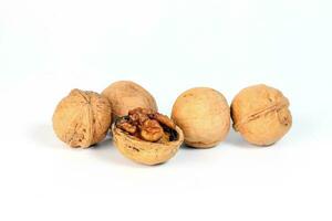 Walnut in shell photo