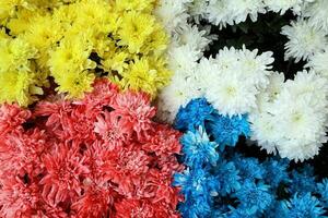 color pain dipped flowers for temple worship offering photo