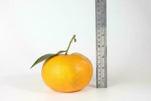 Giant Mandarin Orange photo