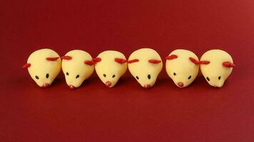 Chinese New Year rat mouse shaped cookie on red background photo