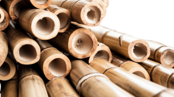 Close up of Dried Bamboo Pile on Transparent Background. . png