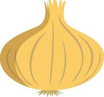 Yellow onion isolated cooking, food preparations and ingredients vector
