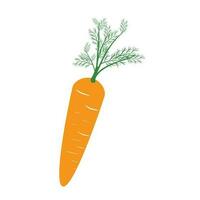 Fresh delicious carrot isolated icon, nutrition and produce concept vector