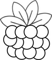 Blackberry Icon In Black Line Art. vector