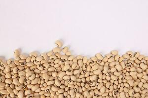 Blackeye beans horizontal line frame border copy text space on white background photo
