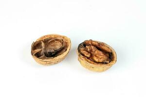 Walnut in shell photo