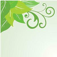 Green leaves decorated background. vector