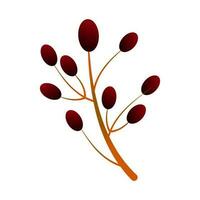 Glossy brown buds on sticks. vector