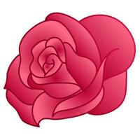 Beautiful glossy rose in pink color. vector