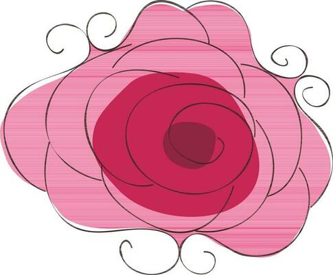Line art illustration of rose flower made with pink color.