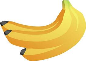 Isolated illustration of banana bunch. vector