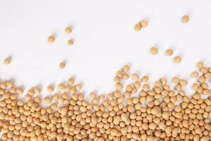 Soya bean horizontal line frame border copy text space on white background photo
