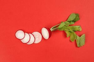 Small red radish on red ackground photo