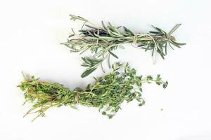 Rosemary Thyme green herb bundle on white background photo