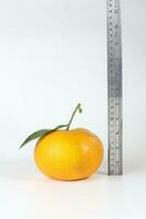 Giant Mandarin Orange photo