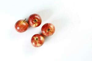Red apple on white background photo