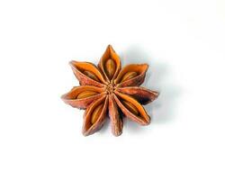 Star Anise Fragrant Spice photo