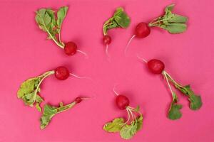 Small red radish on red ackground photo