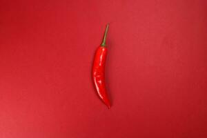 whole red chilli pepper on red paper background photo