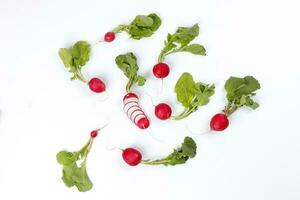 Small red radish on white background photo
