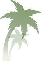 Green coconut tree on shadow white background. vector