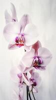 Closeup Shots of Amazing Blooming Orchid Flower Branch. Generative AI. photo