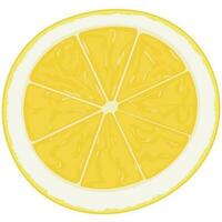 Illustration of a yellow lemon slice. vector