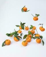 mandarin orange green leaf float fall drop on white background photo