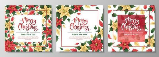 tarjeta postal conjunto con rojo y amarillo flor de pascua Navidad y nuevo año antecedentes. invierno plantas para decorando invitaciones, pancartas, volantes, etc. vector