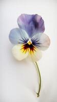 un hermosa suave color pensamiento flor dibujo vertical modelo o tarjeta. generativo ai. foto