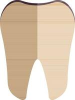 Half shadow style of tooth icon for human body. vector