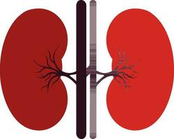 Lungs icon inside human body in half shadow. vector