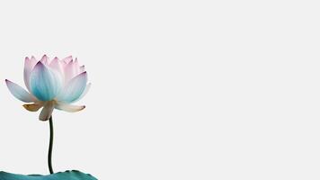 Water Droplet Beautiful Lotus Flower Isolated on White Background and Space for Message. . photo