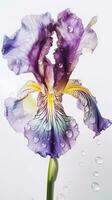Amazing Image of Purple Blossom Iris Flower with Water Drops. Generative AI. photo