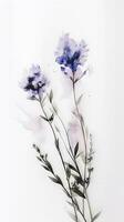Stunning Lavender Flowers Drawing Vertical Template or Card Design. photo