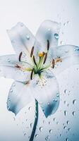 Close Up Image of Blossom Lily Flower with Water Drops. Generative AI. photo