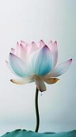 Amazing Image of Natural Multi Color Lotus Flower with Water Drops. Generative AI. photo