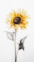 Watercolor Beautiful Sunflower Drawing Vertical Background. Generative AI. photo